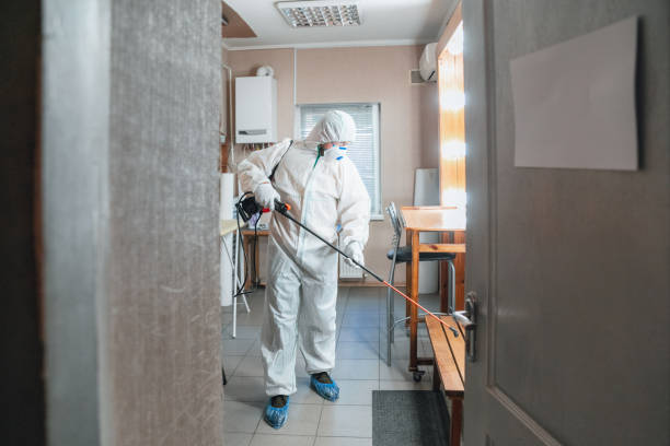 Best Forensic Mold Investigation  in Castle Pines Village, CO