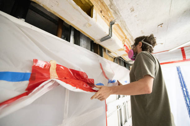 Best Crawl Space Mold Remediation  in Castle Pines Village, CO