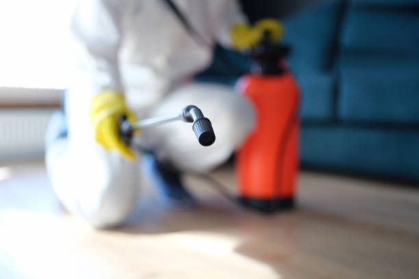 Best Air Quality Testing for Mold Spores  in Castle Pines Village, CO